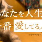 あなたを人生で1番愛してる人🔮タロット占いで占うあの人の気持ち、運命の人や今の恋愛に当てはめてご覧ください。