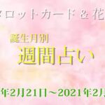 【タロット&花札】誕生月別週間占い【2021年2月21日～2021年2月27日】