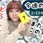 占い】今週の占い2/22-27【朝刊Platform