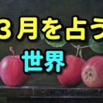 タロット占い　3月を占う―世界