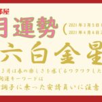 【占い・九星気学】3月六白金星の運勢！大開運日に吉方位も合わせてお伝えしちゃいます♥