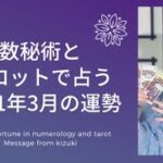 数秘術とタロットでみる2021年3月の運勢