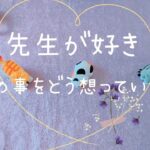 リクエストリーディング🌟先生に恋💗先生は貴方の事をどう想っていますか？タロット占い🔮✨3択💎