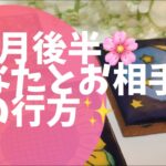 【タロット占い】4月後半🌸あなたとお相手の恋の行方はどうなる？💕3択タロットリーディング🔮✨