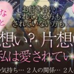 🔮タロット恋愛占い🔮お付き合いしてる方も、してない方も…大好きなあの人と私は両想い？片想い？💕結局、私はあの人にちゃんと愛されてるの？💖片想い・複雑恋愛・音信不通・疎遠etc.あなたへの愛は？