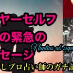 『🌟ハイヤーセルフからのあなたへのメッセージ』【有料級】【タロット占い】ガチンコ！本音！ご視聴注意😱プロ占い師ガチンコ勝負！忖度無し、カード差し替え無し！