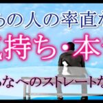 【霊視タロット占い】🔮あの人の率直な気持ち・本音💗今、あなへのストレートな想い🍀あなた様への引き寄せメッセージ🍀🔮