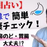 【手相占い】生命線で健康チェック《呼吸器・消化器系》