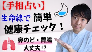 【手相占い】生命線で健康チェック《呼吸器・消化器系》