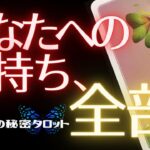 【恋愛占い】🦄今この瞬間！お相手の気持ちをギュギュっと公開💫あなたへの本音を知りたい方に💕💫見た時がタイミング🦋🔮タロット＆オラクルカードリーディング🌈エナジーチェックイン(2021/6/29配信)