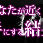 【恋愛タロット】あなたが近く手にする結果❣恋も仕事も人生の指針✨動画に出会った時がタイミング⌚🌈🌸🎯怖いほど当たる細密リーディング【タロット占い3択】