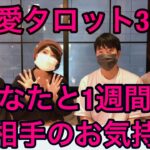 【恋愛タロット3択】あなたの1週間とお相手のお気持ち