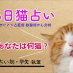 【占い】366日猫占い あなたは何猫？西洋占星術、サビアン占星術、数秘術から分析【占い師・早矢】