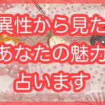 異性から見たあなたの魅力🐕🐕🐕✨アルケミアタロットで占います🧸