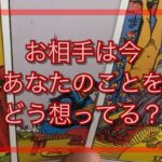 お相手は今どんな風にあなたとのことを想ってる？💌恋愛タロット占い