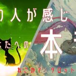 あの人が感じてるあなたへの本音【タロット占い】見えない本音知りたいですよね～