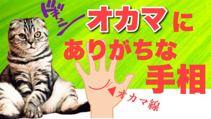 【手相】オカマにありがちな手相　豊川|豊橋|手相|占い|集客|婚活 狐の手相占いGON