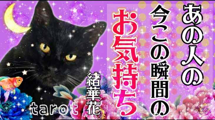 お相手様の今この瞬間💗💌あなたへのお気持ち💞】  見た時がタイミング！恋愛タロット占い 【さくさく三択💫✨】#この瞬間のあの人があなたに伝えたい重要なメッセージとは？🙊🔮⚡