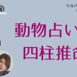 動物占いが当たるのは当たり前！？その秘密を徹底解説！（四柱推命）