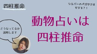 動物占いが当たるのは当たり前！？その秘密を徹底解説！（四柱推命）