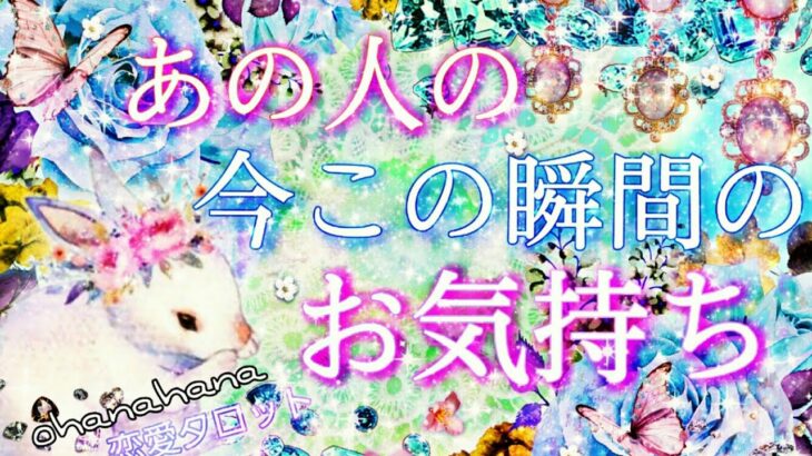 お相手様の今この瞬間😍あなたへのお気持ち💓】  見た時がタイミング！恋愛タロット占い 【さくさく三択💫✨】あなたの事が可愛くて仕方ない相手様💘
お相手様の今夜のあなたへのお気持ち🌙❇