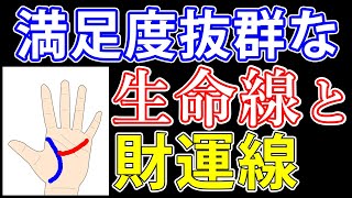 【手相占い】生命線と財運線が交じり合った手相の意味知ってますか？【手相鑑定 vol.176】