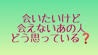 #タロット　#占い　#会いたい　[辛口] 会いたいけど会えないあの人の気持ちや状況など