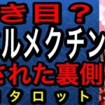 【占い】イベルメクトン　効果は？ 隠された裏側？　霊感タロットでずばり解明