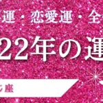 タロット占い | 2022年の運勢 | おひつじ座の全体運・仕事運・恋愛運はどうなる?