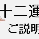 【四柱推命初心者】十二運星とは？動物占いとも関係がある！？基礎をおさらい