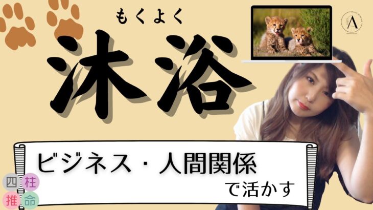 【四柱推命初心者】十二運「沐浴」、動物占い「チーター」の星。ビジネス・人間関係で活かす