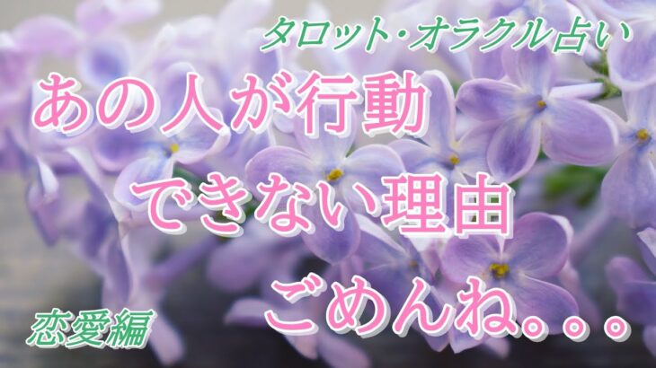 【タロット占い】恋愛💖あの人が行動できない理由。。。ごめんね。。。💖タロットカード💖オラクルカード💖ヒーリング💖開運💖のほほん系チャネラー