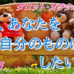 【タロット占い】恋愛💖今、あなたの事を自分のものにしたい人💖タロットカード💖オラクルカード💖ヒーリング💖開運💖のほほん系チャネラー