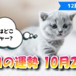 【今日の運勢】　2021年10月22日（金）【12星座占い】