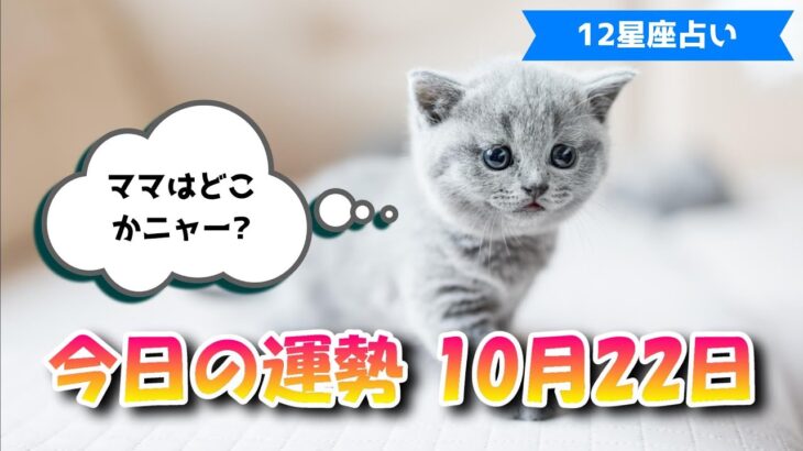 【今日の運勢】　2021年10月22日（金）【12星座占い】