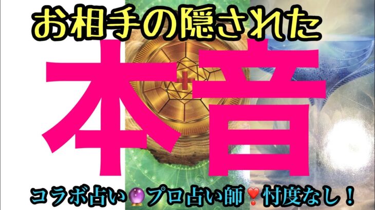 『お相手の隠された本音』リクエスト読み❣️💓【有料級】月水金21時　更新　コラボ🔮【タロット占い】忖度無し！差し替え無し！一発撮り！