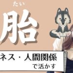 【四柱推命初心者】十二運「胎」、動物占い「おおかみ」の星。ビジネス・人間関係で活かす