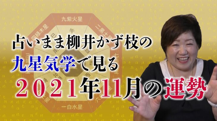 【占い】11月の運勢（九星気学）〜四緑木星は今年１番の運気！