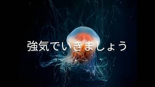 タロット占い*2番誕生日占い恋人占い女占い男占い男女占い動物占いスピリチュアル占い手相占い　タロット占い1番誕生日占い恋人占い女占い男占い男女占い動物占いスピリチュアル占い手相占いお悩み相談お悩み解決