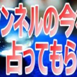 【祝　初コラボ！ノンタ ボードゲームチャンネル】ド田舎手相占い師【ぬまたのぬまたくん】