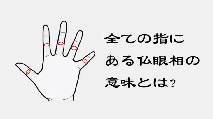 【手相占い】全ての指にある仏眼相の意味とは？自分の手にあるかみてみてね！