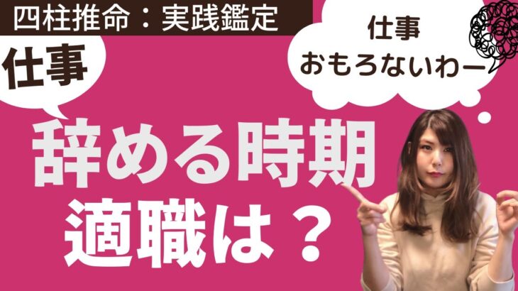 【四柱推命実践鑑定】仕事の辞め時、適職を読む