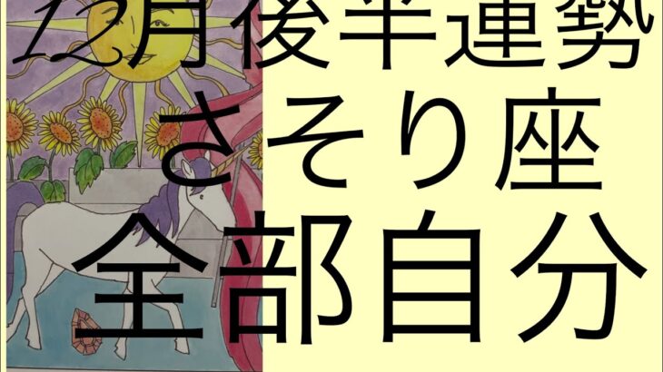 #星座別#タロット占い#蠍座【12月後半運勢】さそり座　恐れる事はないよ、全部自分だからね。超細密✨怖いほど当たるかも知れない😇