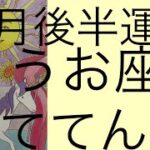 #星座別#タロット占い#魚座【12月後半運勢】うお座　今こそ育てるときばい！超細密✨怖いほど当たるかも知れない😇