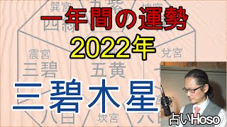 2022年の運勢【三碧木星】九星 タロット【令和四年 寅年 一年間】占い