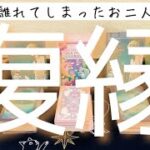 【約3時間超】復縁。時期や真相をハッキリと出しました。復縁か新たな出会いか。イブとクリスマスに贈るそれぞれのリーディング。イブ編🎄タロットルノルマンオラクルで #あんまろ掘り🌸🌰