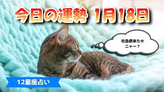 【今日の運勢】　2022年1月18日（火）【12星座占い】