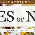 【イエスノー占い】恋愛・仕事・人間関係の悩みなどをイエスかノーか占いました【3択リーディング】