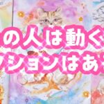 【タロット占い】【あの人は動く？アクションはある？✨】🌈３択🌈見た時がタイミング❤️シンプルリーディング❤️