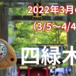 【四緑木星】2022年3月の運勢！～変化に応じてアップデート